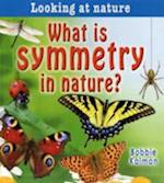 What is symmetry in nature?