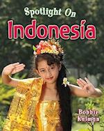 Spotlight on Indonesia