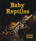 Baby Reptiles