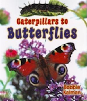 Caterpillars to Butterflies