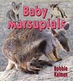 Baby Marsupials