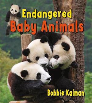 Endangered Baby Animals