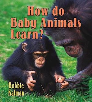 How Do Baby Animals Learn?