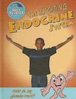 The Exciting Endocrine System