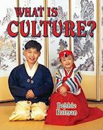 What Is Culture?