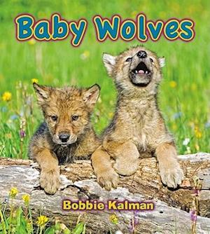 Baby Wolves