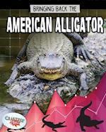 Bringing Back the American Alligator