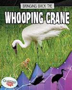 Bringing Back the Whooping Crane