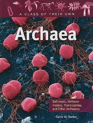 Archaea