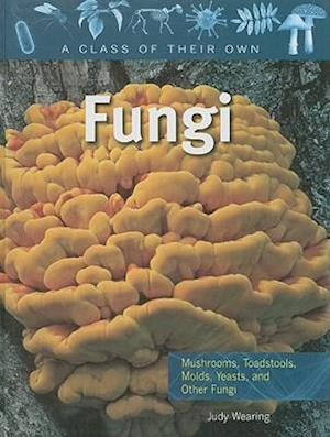 Fungi