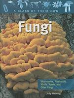 Fungi