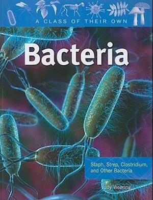 Bacteria