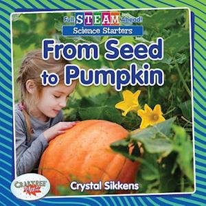 From Seed to Pumpkin