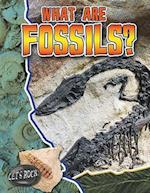 What Are Fossils?