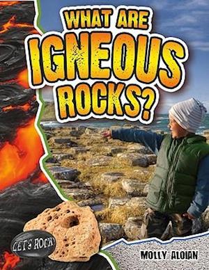 What Are Igneous Rocks?