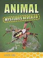 Animal Mysteries Revealed