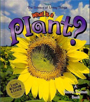 Package - What Is a Plant? - CD + Hc Book