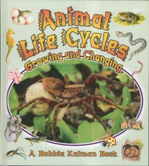 Package - Animal Life Cycles