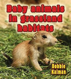 Baby Animals in Grassland Habitats