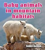 Baby Animals in Mountain Habitats