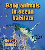 Baby Animals in Ocean Habitats