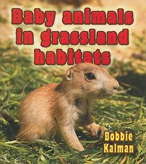 Baby Animals in Grassland Habitats