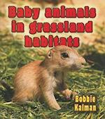 Baby Animals in Grassland Habitats