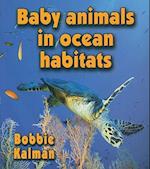 Baby Animals in Ocean Habitats