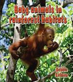 Baby Animals in Rainforest Habitats
