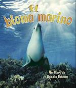 El Bioma Marino