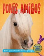 Ponis Amigos