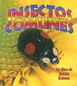Insectos Comunes