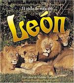El Ciclo de Vida del Leon