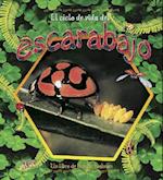 El Ciclo de Vida del Escarabajo