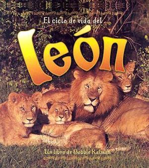 El Ciclo de Vida del Leon = Life Cycle of a Lion