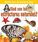 Que Son las Estructuras Naturales?