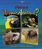 Que Es el Reino Animal? = What Is the Animal Kingdom?