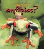 Que Son los Anfibios?