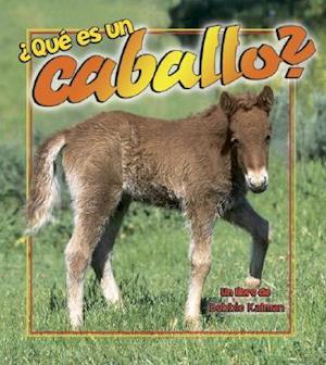 Que Es un Caballo?