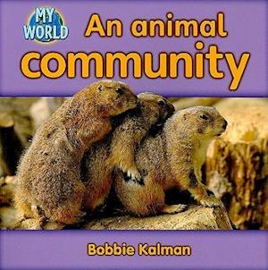 An Animal Community