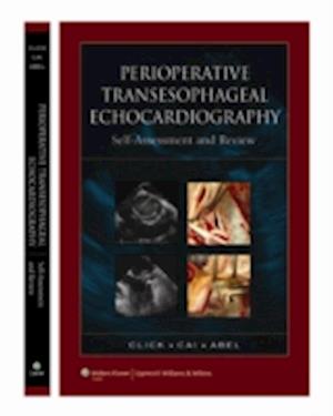 Perioperative Transesophageal Echocardiography Self-Assessment and Review