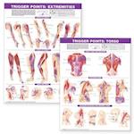Trigger Point Chart Set: Torso & Extremities  Lam