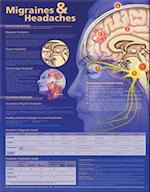 Migraines and Headaches Anatomical Chart