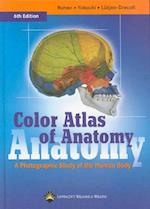 Color Atlas Of Anatomy