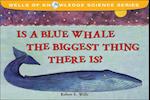 Is a Blue Whale the Biggest Thing Thereis?