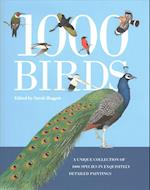 1000 Birds