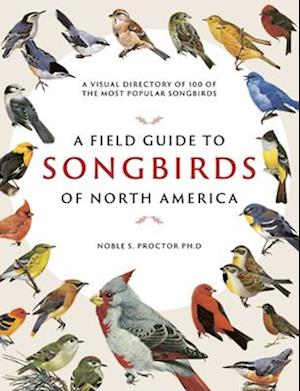 A Field Guide to Songbirds of North America