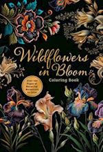 Wildflowers in Bloom Coloring Book