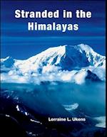 Stranded in the Himalayas, Leader's Manual