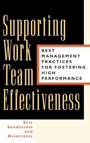 Supporting Work Team Effectiveness